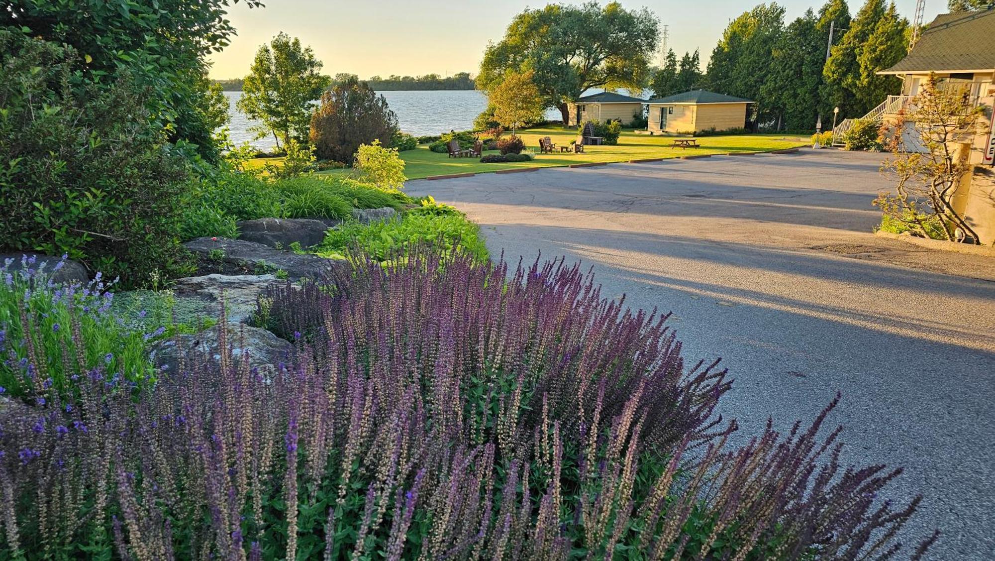 Hotel Oasis Lac St-Louis Salaberry-de-Valleyfield Εξωτερικό φωτογραφία